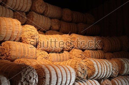 stock-photo-the-straw-rice-bag-in-the-night-of-takayama-city-jinya-area-japan-the-jinya-area-is-famous-541559413